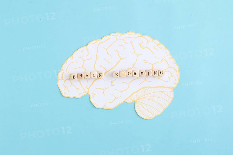 Brain storming blocks white brain against blue background