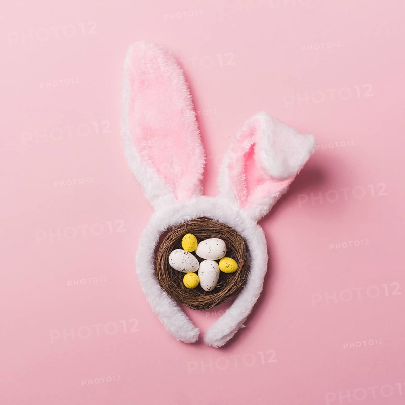 Bunny ears nest pink