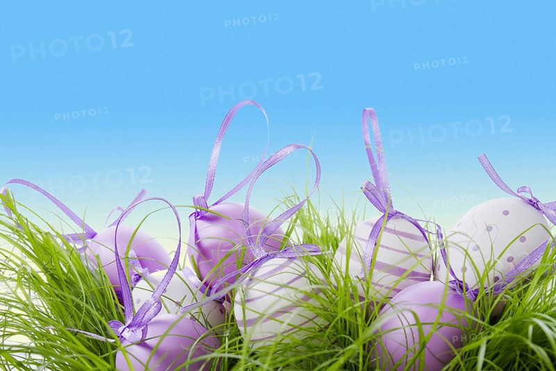 Cute eggs with purple ribbon easter