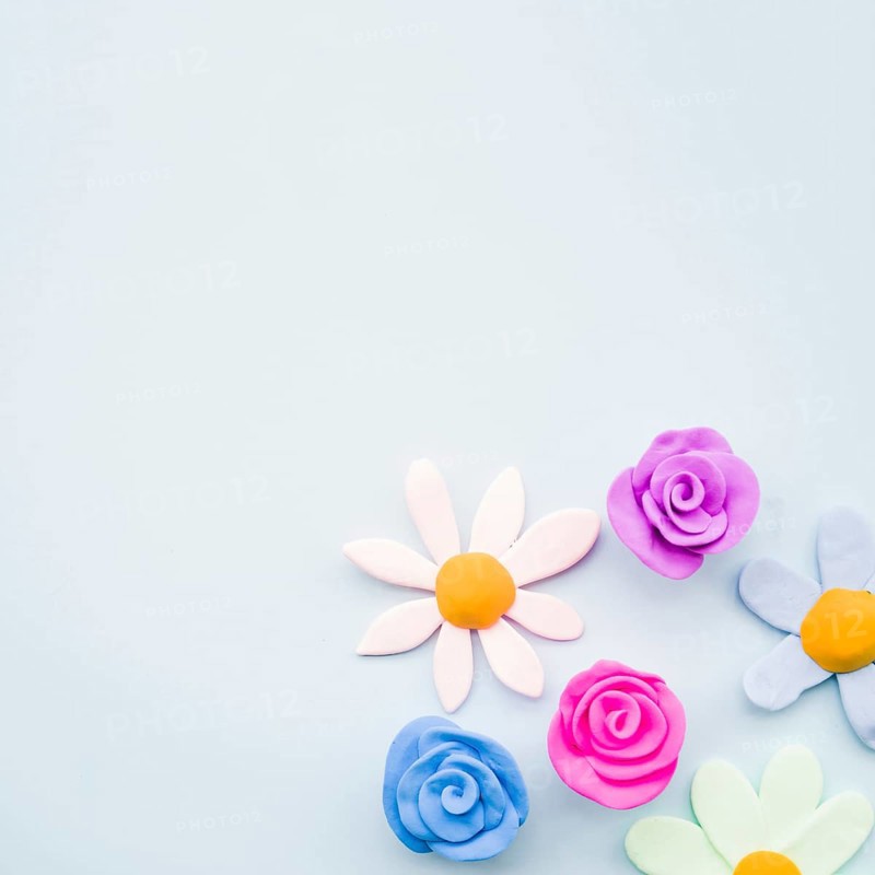 Different type clay flowers gray background