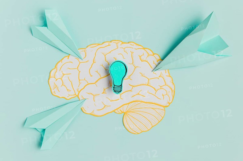 Paper airplanes pointing brain