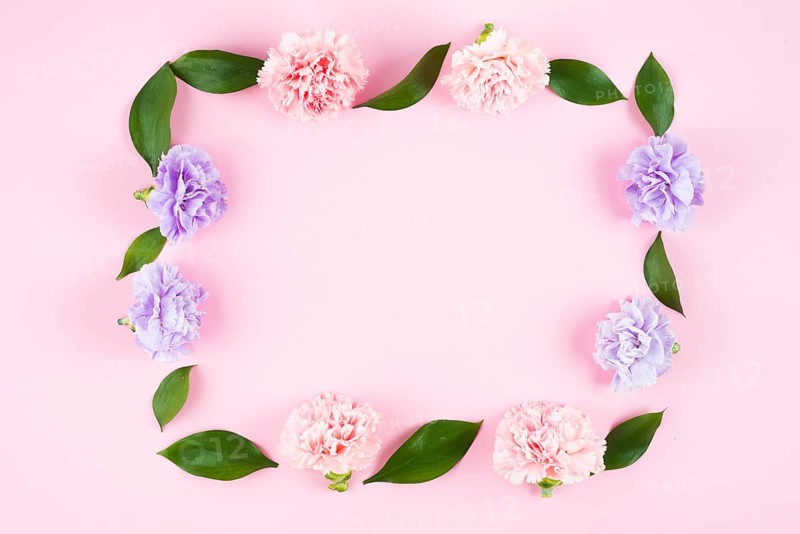 Rame with flower heads leaf