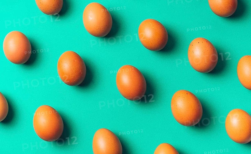 Set chicken eggs board