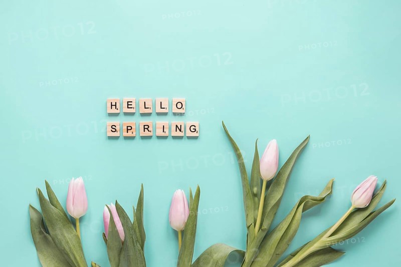 Set fresh tulips with green leaves hello spring words