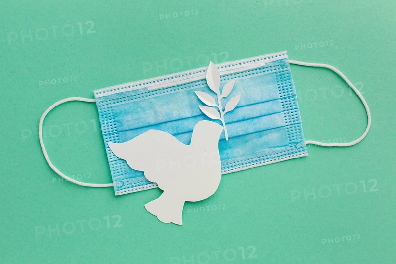 Top view paper dove with medical mask