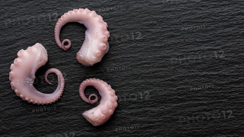 Top view three small pieces octopus