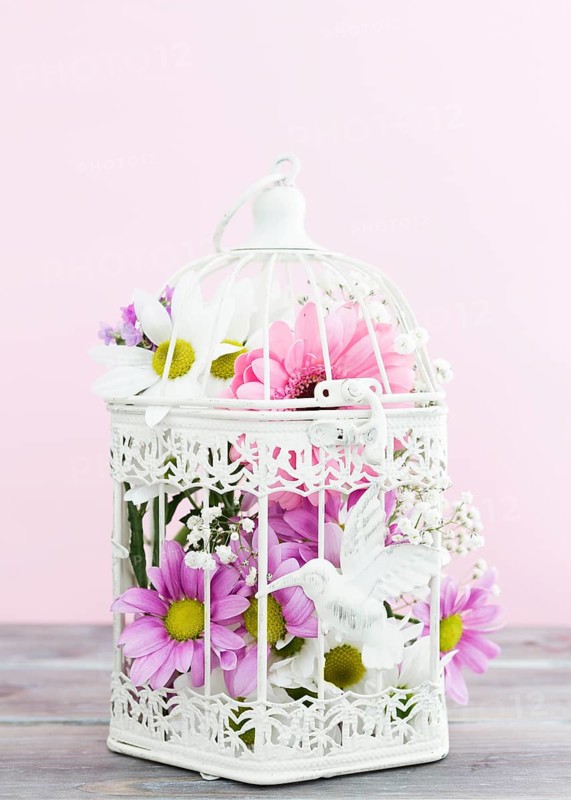 Arrangement with bird cage full flowers
