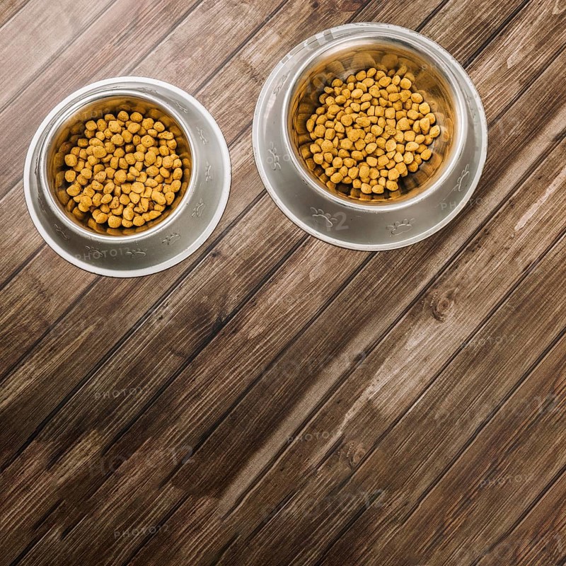 Bowls with pet food floor