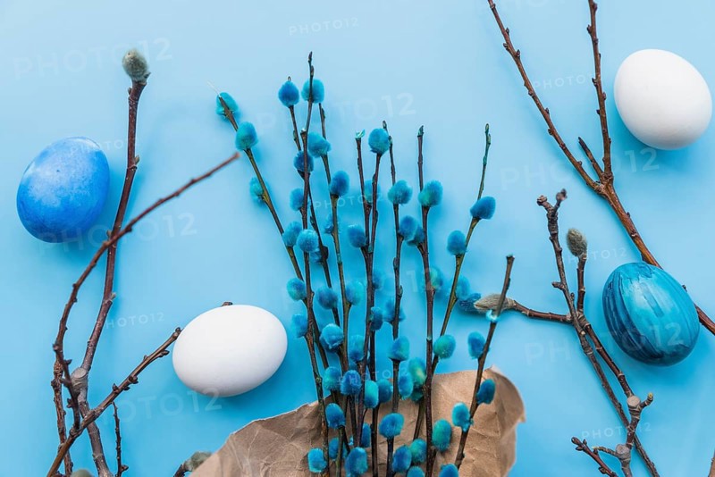 Colored eggs willow branches
