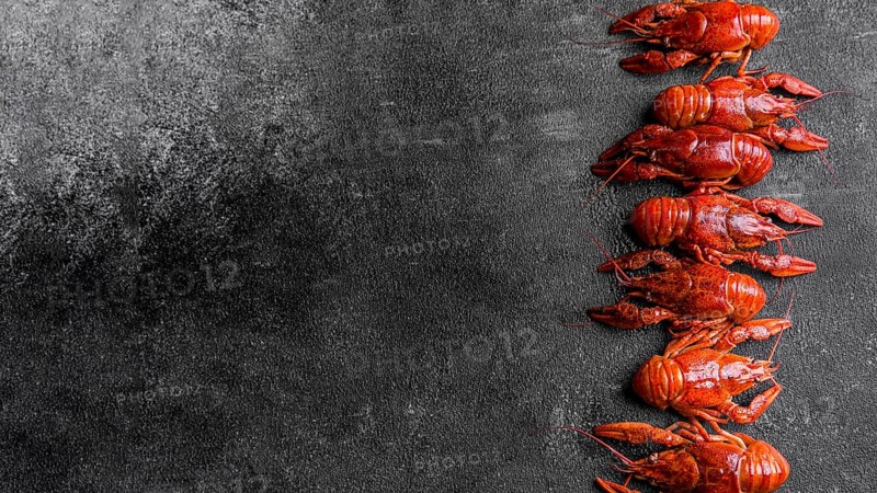 Delicious seafood lobster copy space