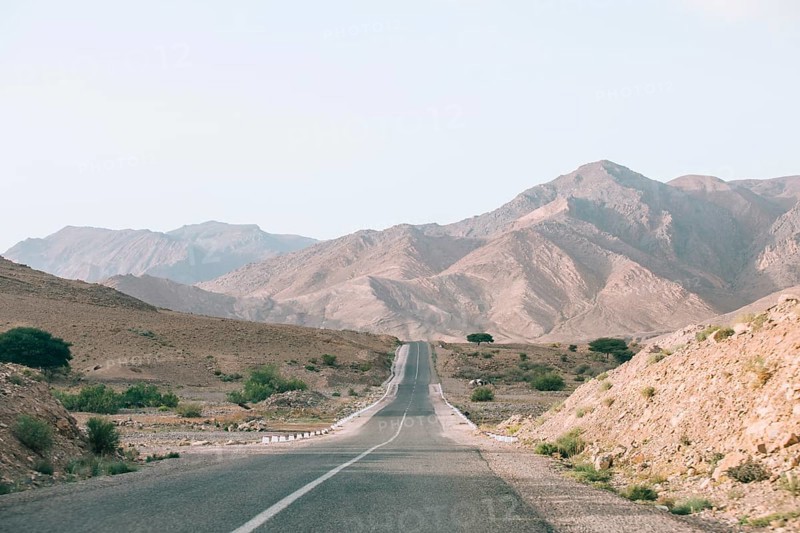 Desert landscape
