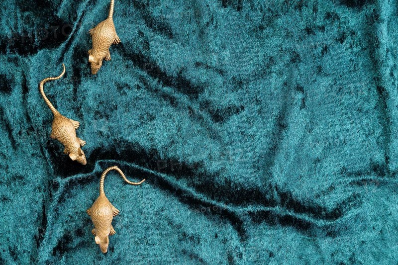 Flat lay rat figurines turquoise velvet