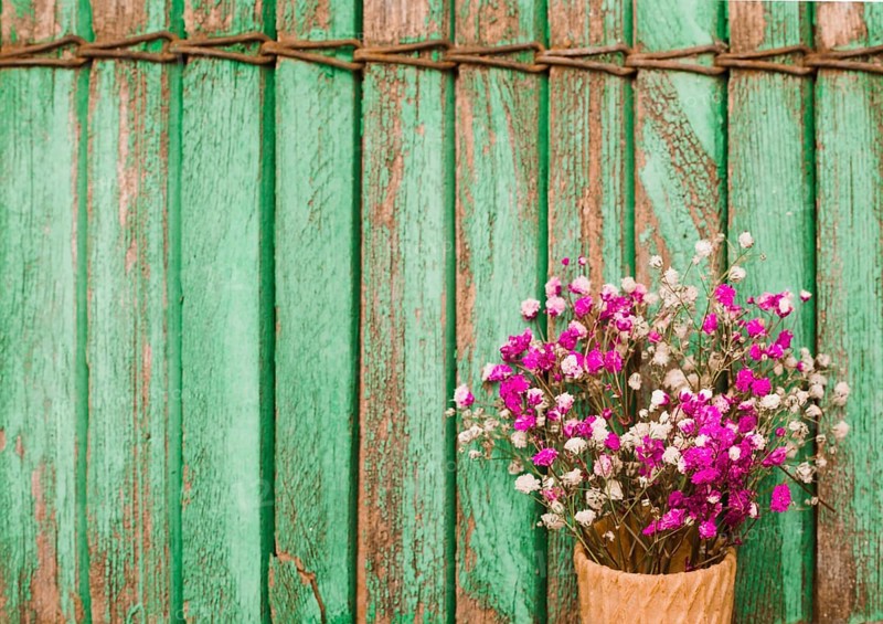 Pink baby s breath flowers against wooden shutters background