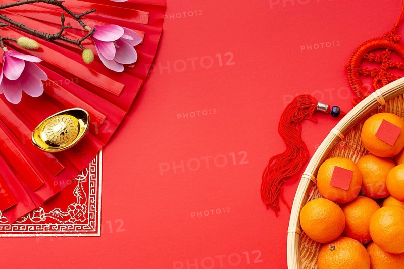 Tangerines magnolia top view chinese new year