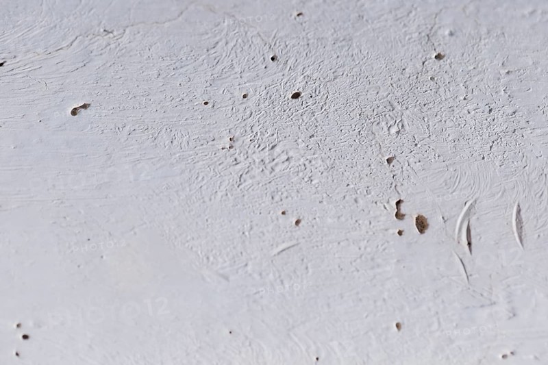 Texture close up concrete wall