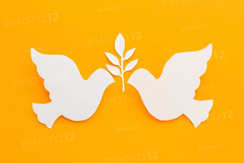 Top view paper doves with leaves