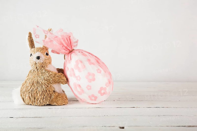 Big egg near toy bunny