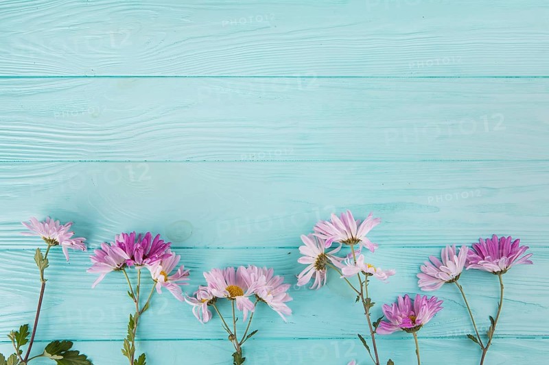 Bright flowers scattered wooden table
