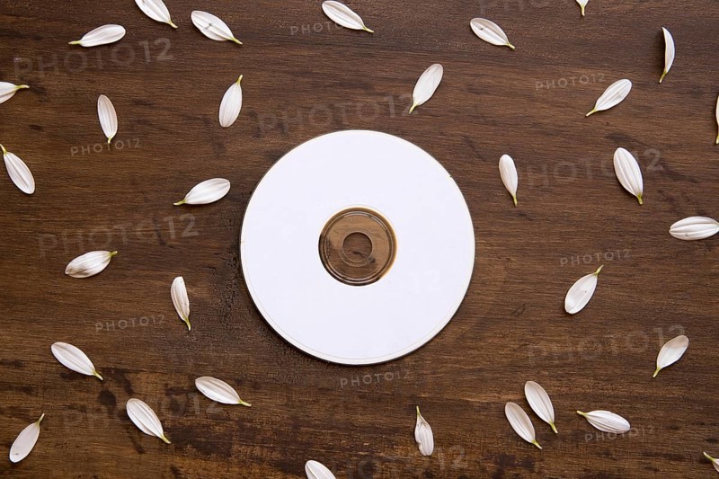 Cd petals mockup