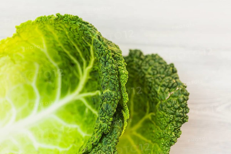 Close up green cabbage leaves