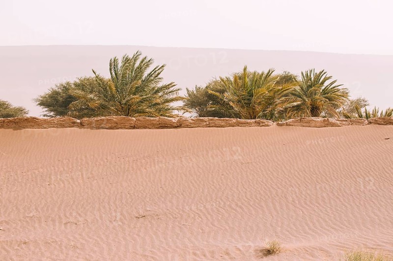 Desert landscape morocco