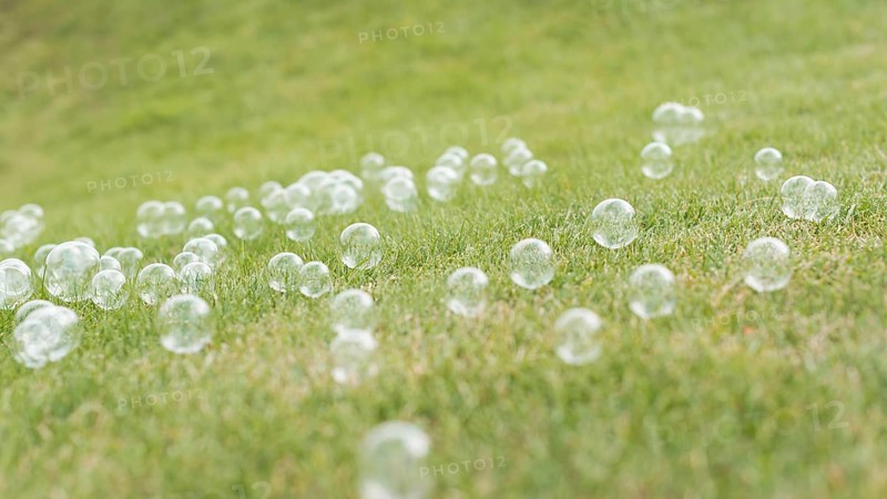 Front view cute soap bubbles grass