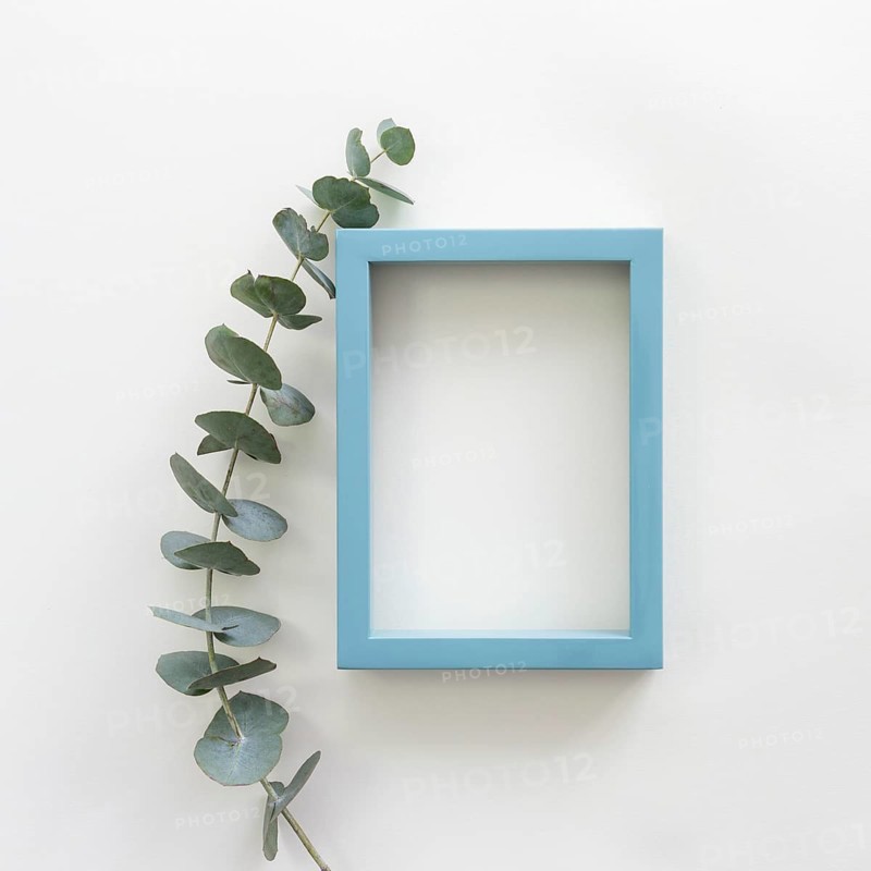 Green leaves blue border empty blank frame white backdrop