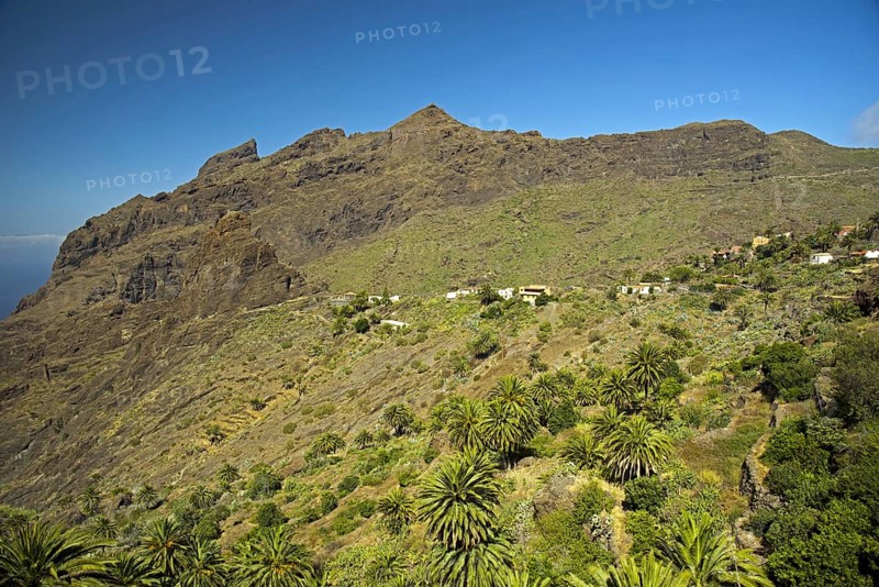 Masca
