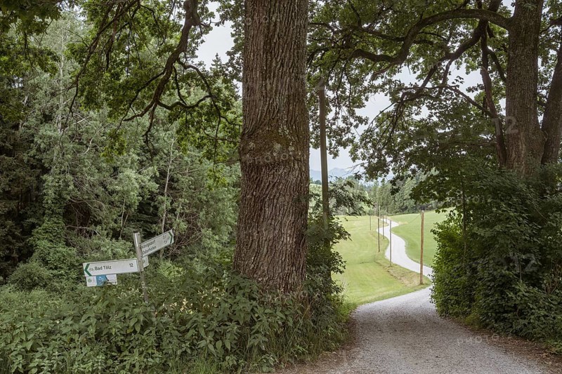 Landscape and path along the Isar cycle path near Bad Toelz