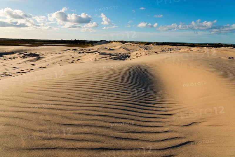 Travelling dune