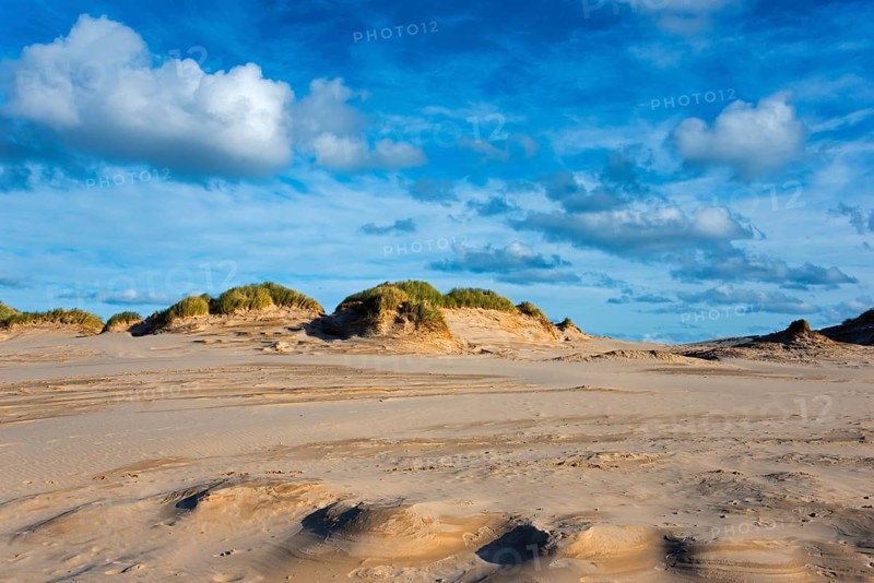Travelling dune