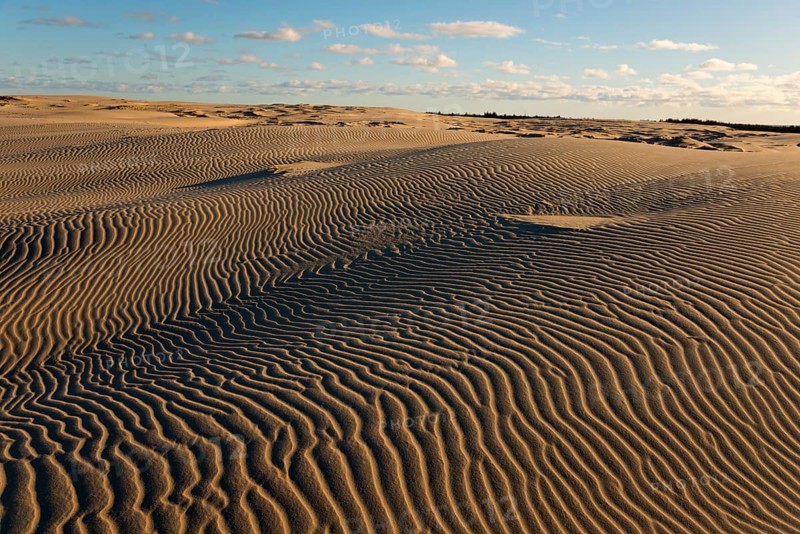 Travelling dune