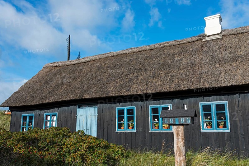 Thatched house