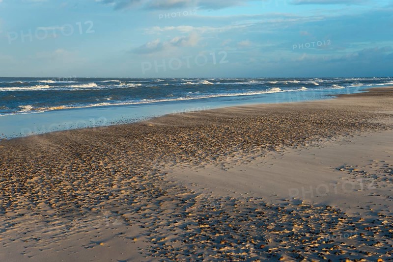 Sand blowing on the North Sea beach at the meeting of the North Sea and the Baltic Sea