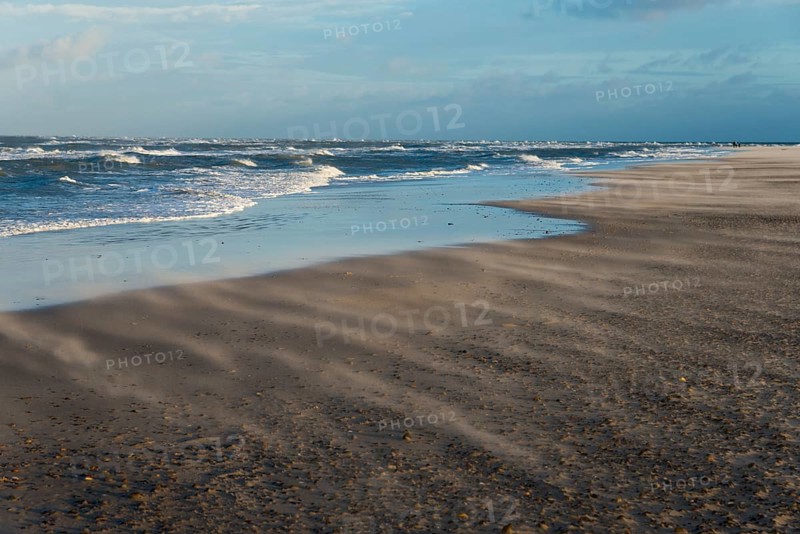 Sand blowing on the North Sea beach at the meeting of the North Sea and the Baltic Sea