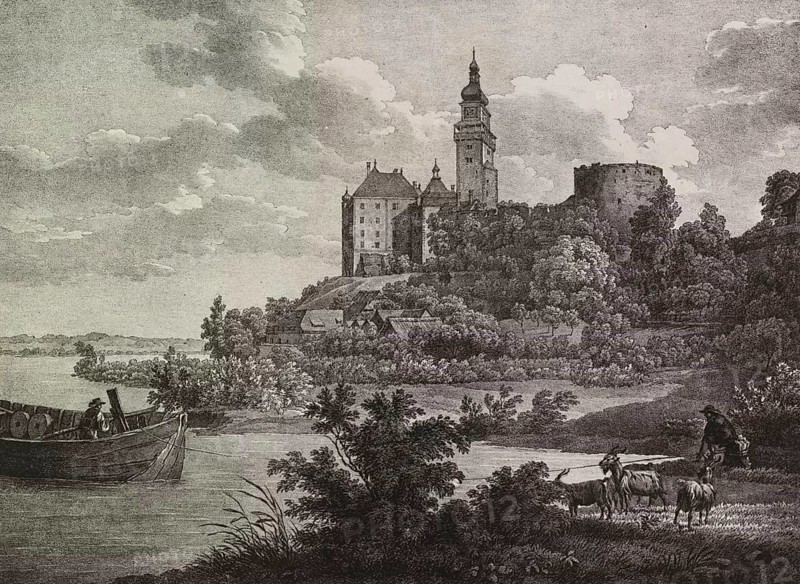 Die Donau bei Schloss Wallsee in Niederoesterreich