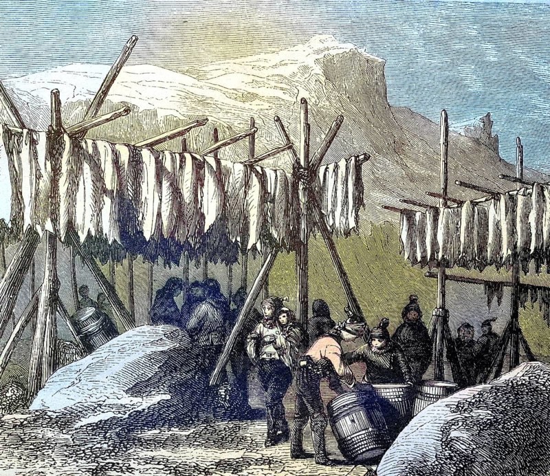 Drying the cod fish on Newfoundland country