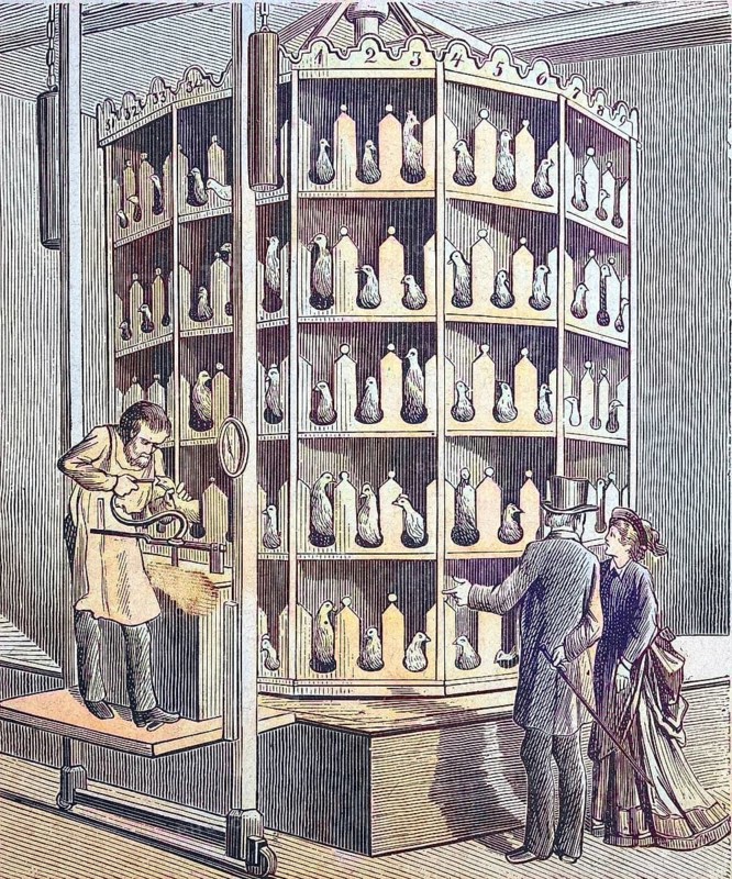 Device for fattening of poultry