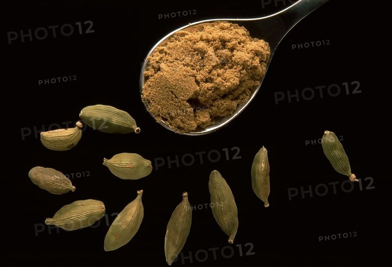 Spice