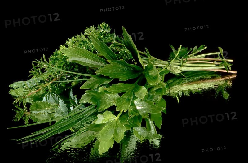 Herb bouquet