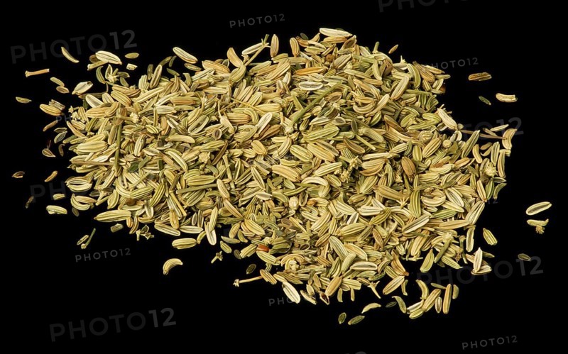 Fennel