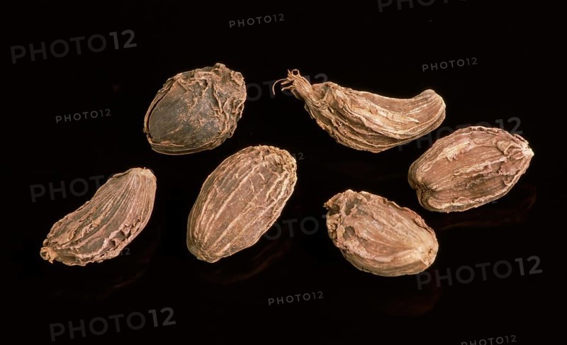 Black cardamom