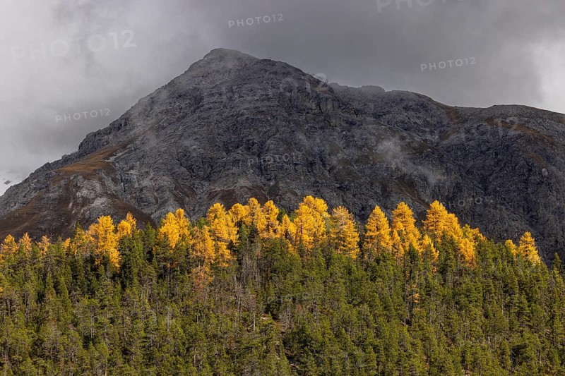Autumn colours