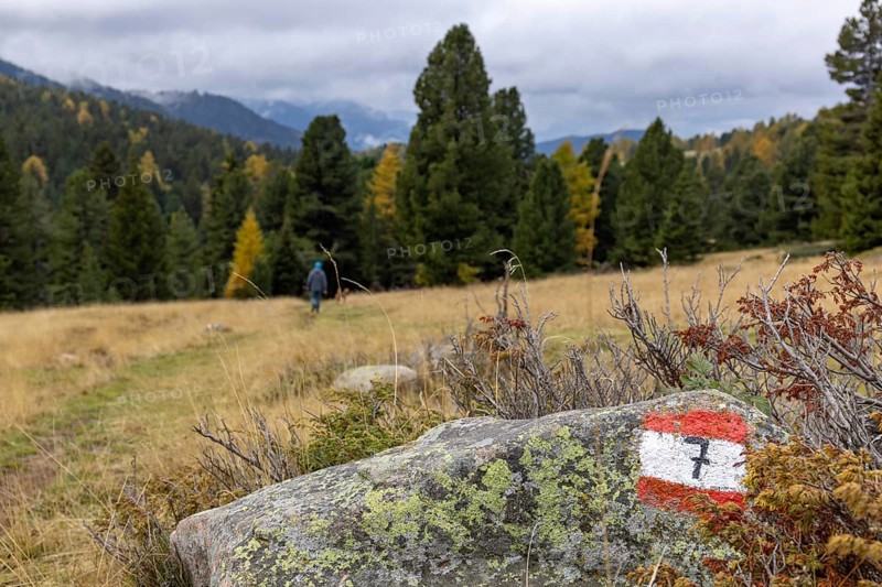 Hiking trail marker