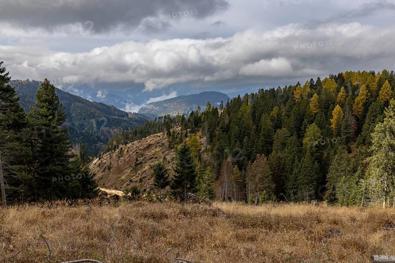 View of the valley with storm damage