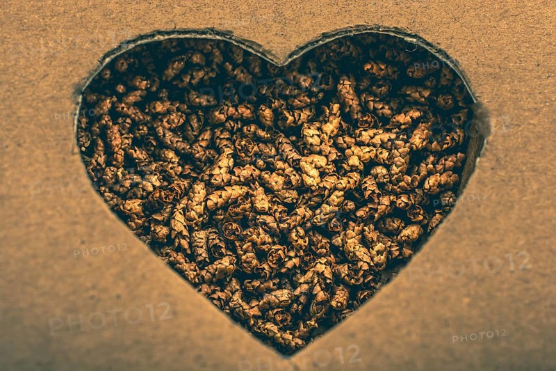 Love icon and Valentine's day wording on torn paper