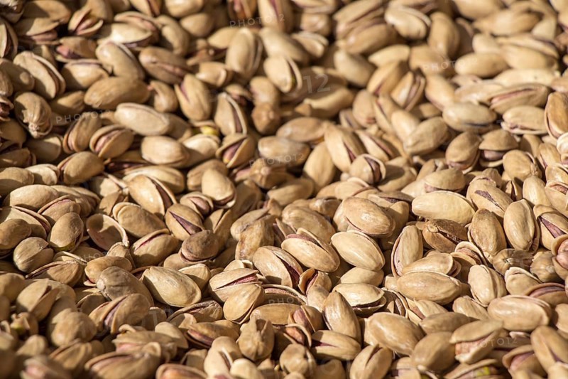Pistachio nuts with shell ready to eat