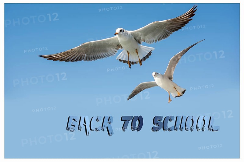 Back to school wording as educational concept