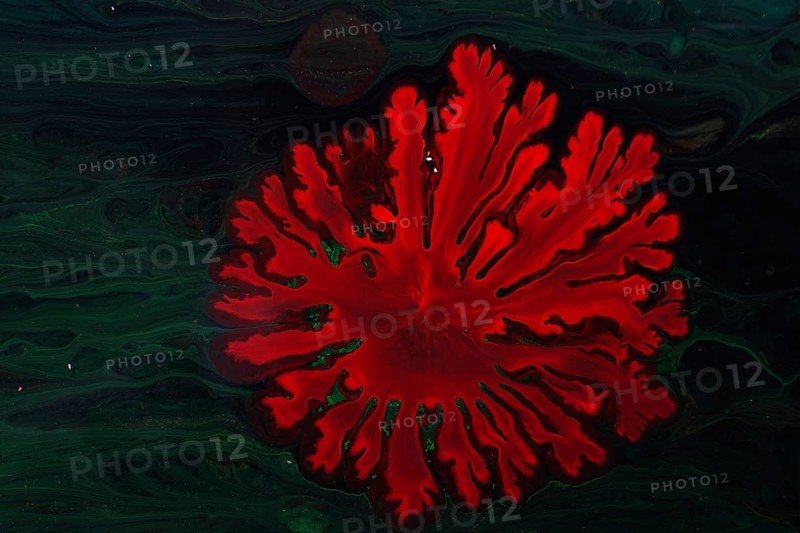 Ebru marbling handmade art