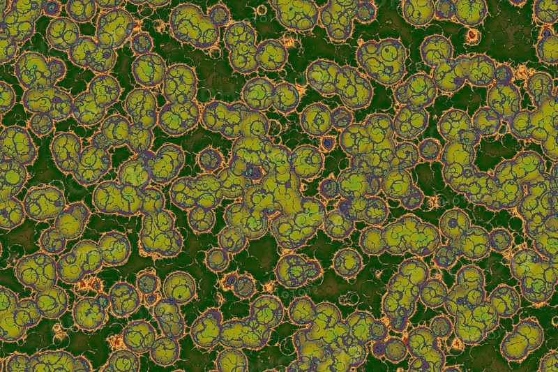 Fake microorganisms. microbiology. Bacteria